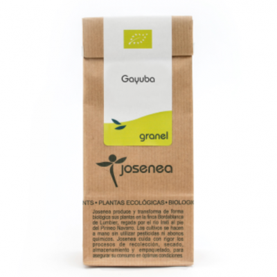 INFUSIÓN DE GAYUBA JOSENEA